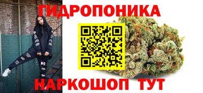 ГАЛЛЮЦИНОГЕННЫЕ ГРИБЫ Гатчина